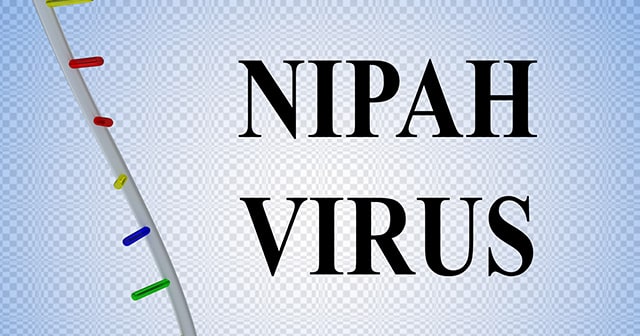 Supervirus Nipah auf dem Vormarsch - WHO warnt vor Pandemie